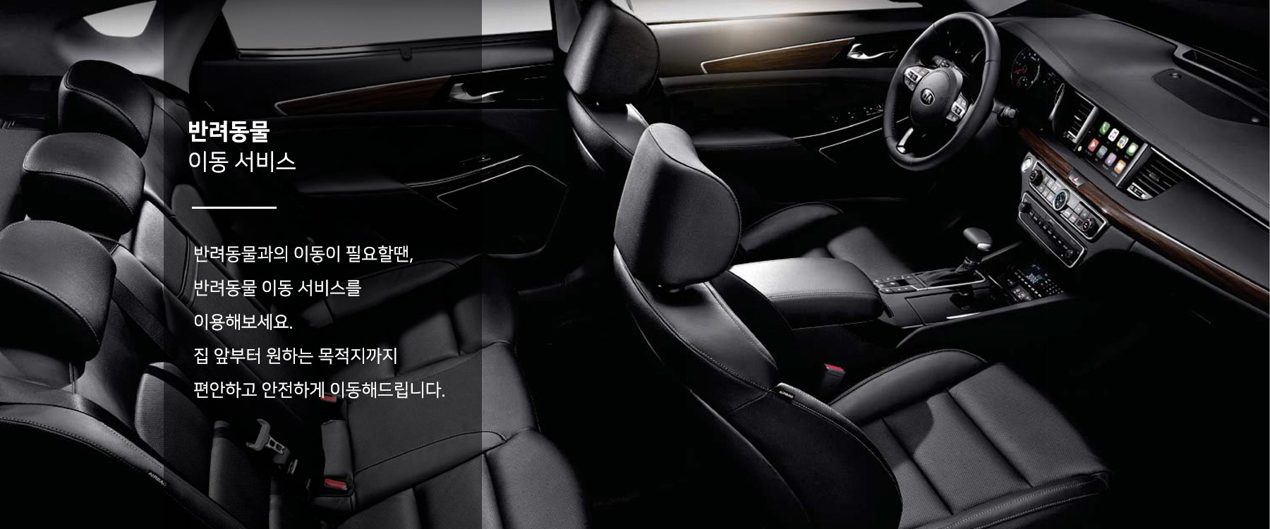 반려동물 이동서비스