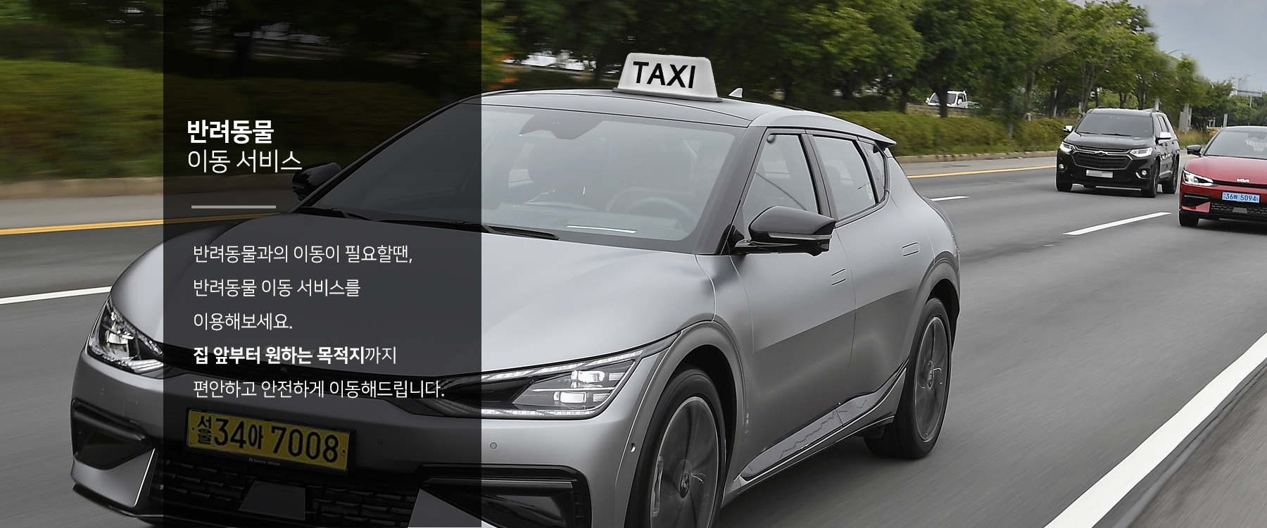 반려동물 이동서비스