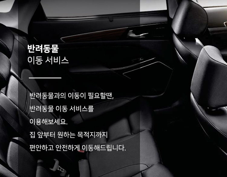 반려동물 이동서비스