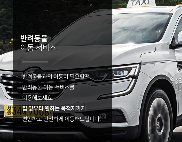 반려동물 이동서비스