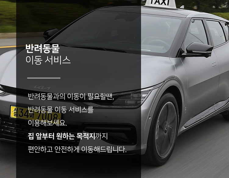 반려동물 이동서비스